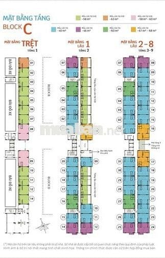 Tìm Nữ ở Ghép Homestay Chung Cư - 2tr/Tháng/Người Trọn Gói