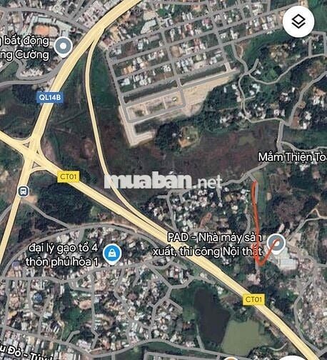 Cần bán Đất trồng cây lâu năm gần 1000m2