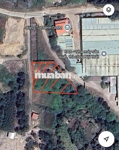 Cần bán Đất trồng cây lâu năm gần 1000m2