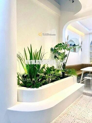 🏡 NHÀ KINH DOANH HOME CỰC XINH - NGAY NHÀ THỜ DOMAINE - THU NHẬP CAO
