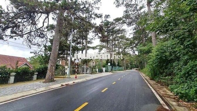 Bán Đất xây Khách Sạn MT Lê Văn Tám, Trần Hưng Đạo.1193m2.85 tỷ