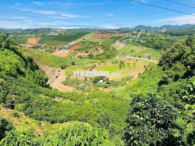 Kẹt tiền ngân hàng cần ra đi l1 lô gần quốc lộ 27C