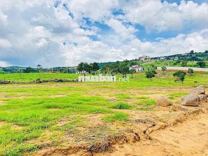 Kẹt tiền ngân hàng cần ra đi l1 lô gần quốc lộ 27C