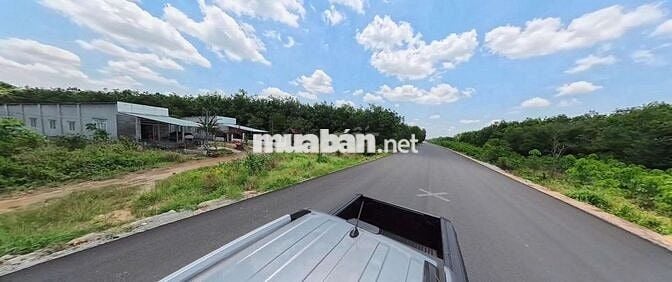 Bán  đất 1000m2  mặt tiền đường Hồ Chí Minh, xã Trừ Văn Thố, TP HCM