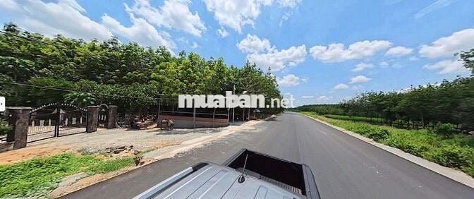 Bán  đất 1000m2  mặt tiền đường Hồ Chí Minh, xã Trừ Văn Thố, TP HCM