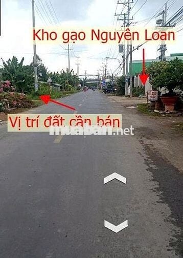 Đất trồng cây lâu năm + 374,8 m2 + ĐT 852