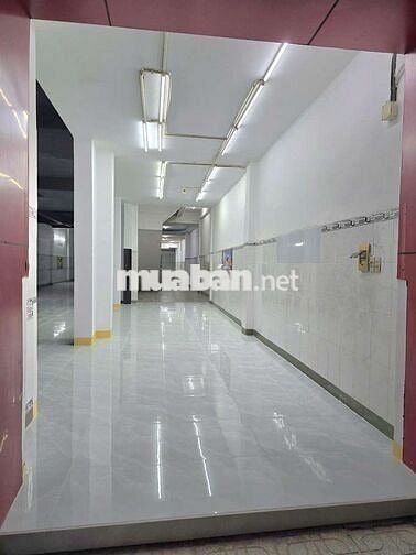 Mặt bằng trung tâm Chánh Nghĩa, Thủ Dầu Một
rộng 736m2, giá 35 triệu