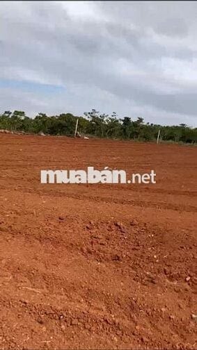 1,2ha đất Nông nghiệp tại Đức Trọng gần sân bay Liên Khương.