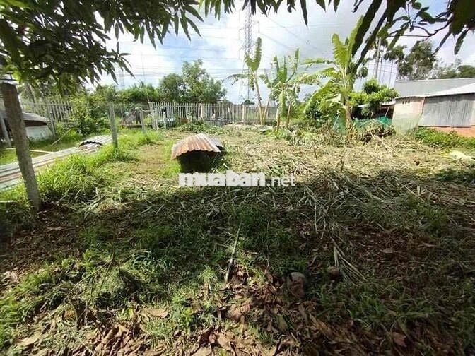🔥 KẸT TIỀN BÁN GẤP – ĐẤT MẶT TIỀN SÔNG, GIÁ SIÊU MỀM 🔥