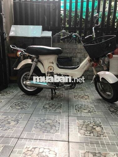 chamy 70cc có đề