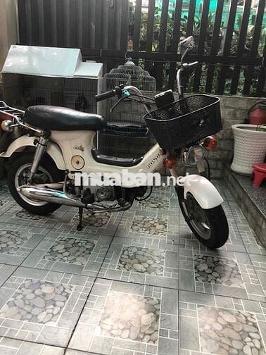 chamy 70cc có đề