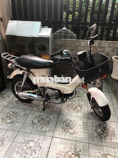 chamy 70cc có đề