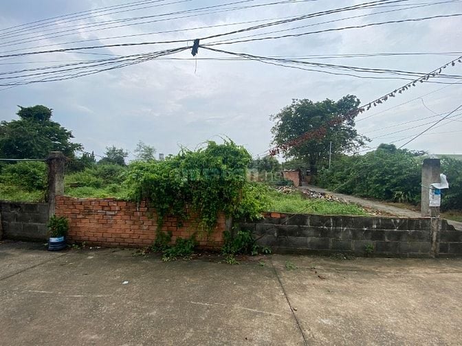 Bán 2 lô đất 5x45=225m2 thổ 100% trung tâm xã Mỹ Hạnh Nam, Đức Hòa, LA
