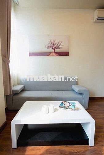 CHUỖI CĂN HỘ 1PN/2PN GẦN SÂN BAY TÂN SƠN NHẤT_LĂNG CHA CẢ Q.TÂN BÌNH