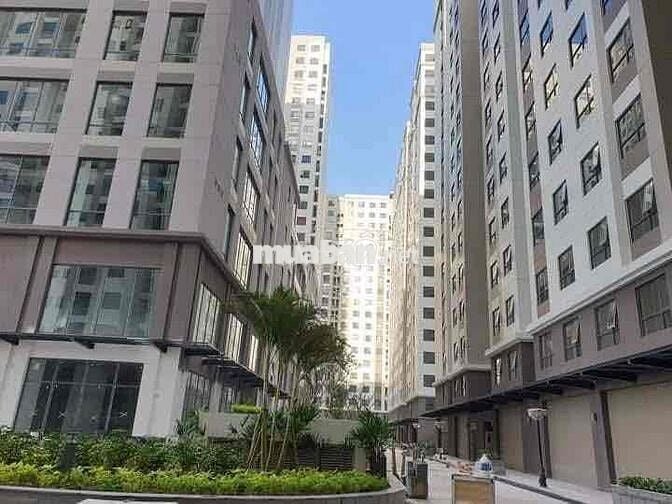 SHARE PHÒNG CHUNG CƯ CAO CẤP GIÁ RẺ