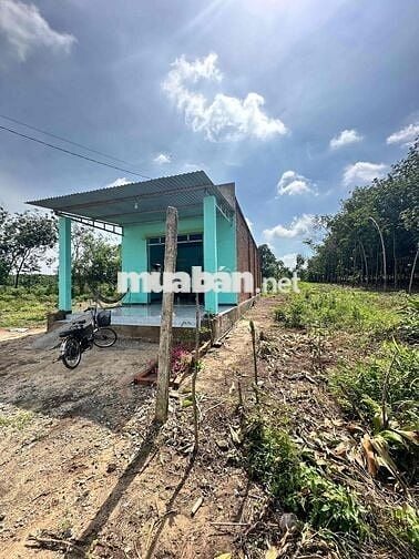 Chính chủ kẹt tiền cần bán đất tặng căn nhà cấp 4 mới xây