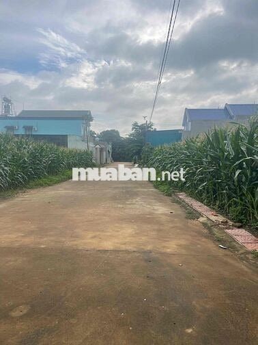 Khu trung tín ấp 5 sông trầu cũ( xã Trảng Bom mới) 899trieu gần chợ.