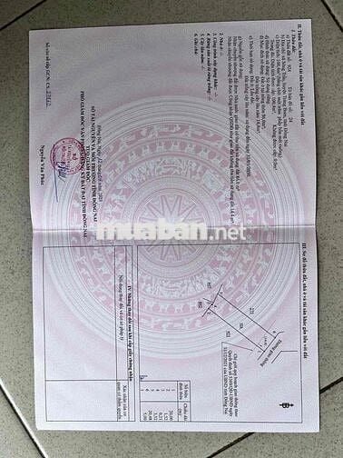Đất nền sổ riêng thổ cư ấp 6 sông trầu cũ(xã Trảng Bom mới) 850 triệu