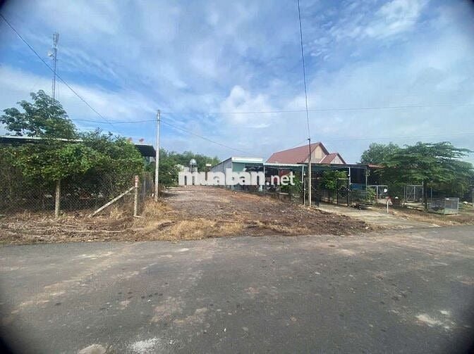 Tôi cần Bán mảnh đất diện tích 580m² có sẵn 100m² thổ cư