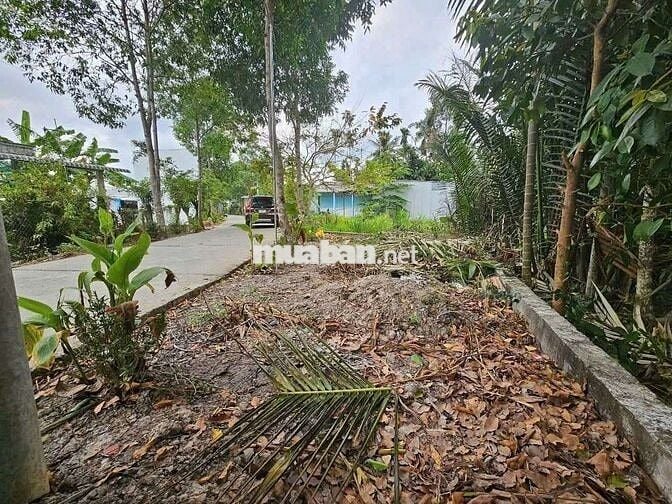 CÁCH 200M TRƯỜNG HỌC MỞ TRÀ SỬA . KCN BÌNH MINH 5 PHÚT - CẦN THƠ 10 PH