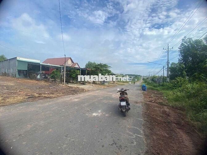 Tôi cần Bán mảnh đất diện tích 580m² có sẵn 100m² thổ cư
