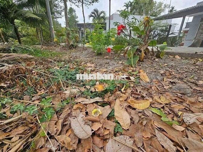CÁCH 200M TRƯỜNG HỌC MỞ TRÀ SỬA . KCN BÌNH MINH 5 PHÚT - CẦN THƠ 10 PH