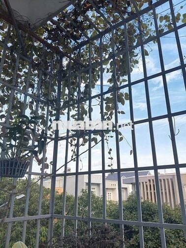 Cho thuê căn hộ góc 100M2 chung cư Thông Tin P9 Vũng Tàu 6,5TR/TH