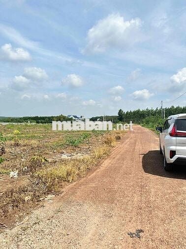 Chính chủ kẹt tiền cần bán đất tặng căn nhà cấp 4 mới xây