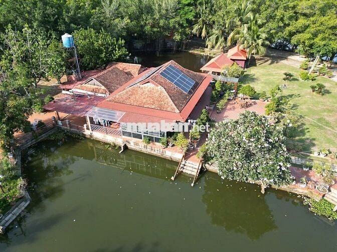 Bán 10000m2 Đất - Bình Chánh - Sẵn Nhà Vườn - Nghĩ Dưỡng - Giá Đầu Tư