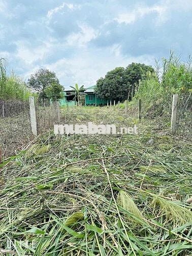 2 Nền Thổ Cư 4 x 24m Ngay Mỹ Lộc , Đường Xe Hơi Tới Đất. Sổ Hồng Riêng