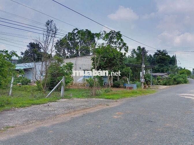 ĐƯỜNG NHỰA, CHỦ NGỘP CẦN BÁN, CHỦ MUA 2TY6, NAY BÁN CẮT LỖ 1TY750