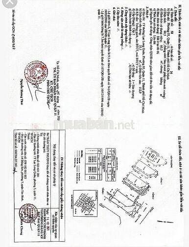 🚗 SIÊU PHẨM 2 MT HXH LẠC LONG QUÂN - 76,8M2 - 1T, 2L, ST - 8.1 TỶ TL🚗