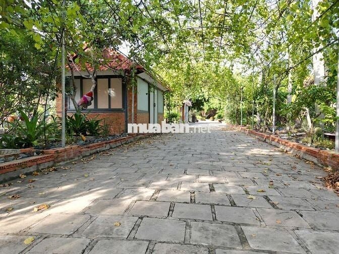Bán 10000m2 Đất - Bình Chánh - Sẵn Nhà Vườn - Nghĩ Dưỡng - Giá Đầu Tư