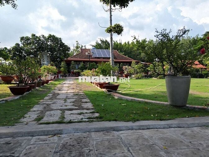 Bán 10000m2 Đất - Bình Chánh - Sẵn Nhà Vườn - Nghĩ Dưỡng - Giá Đầu Tư