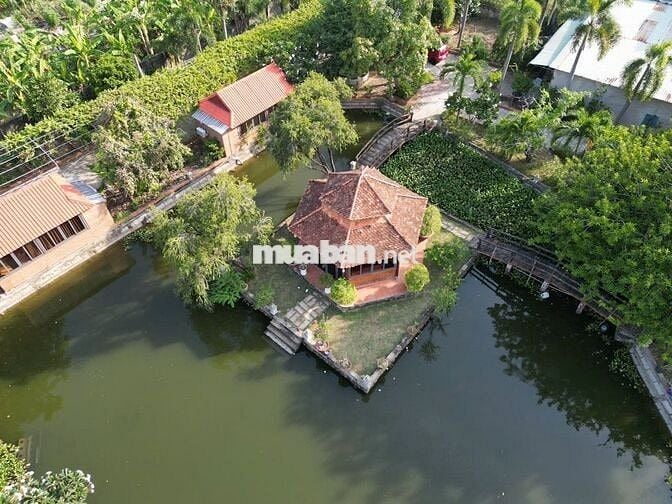 Bán 10000m2 Đất - Bình Chánh - Sẵn Nhà Vườn - Nghĩ Dưỡng - Giá Đầu Tư