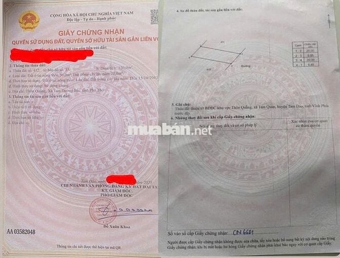 E BÁN Ô ĐẤT THÔN QUẴNG, Trục chính Liên Thôn, XÃ TAM QUAN