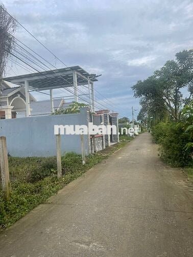 Bán nhà đất - Đường Ấp 3 “ Xóm Ba Tròn ”, Xã Long Cang, Huyện Cần Đước