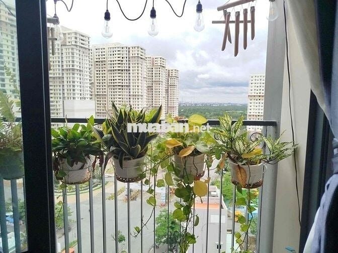 🧧🧧🧧🧧CHO THUÊ CĂN HỘ 3 PN TẠI CC VIVA PLAZA QUẬN 7.  - CĂN GÓC 🧧🧧🧧