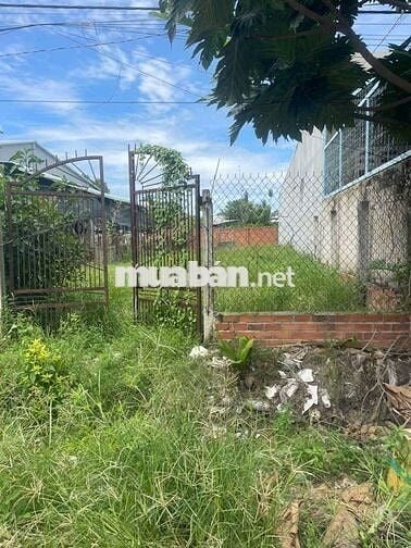 Bán Nhanh Đất MT đường An Phú 4 An Hoà Trảng Bàng TN  Giá 1ty150/221m2