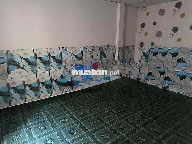 cho thuê nhà hẻm xe hơi lê văn quới BHHA