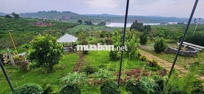 nhà biệt thự vườn 6.000m2 rất đẹp ven đà lạt
