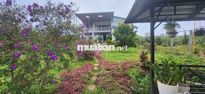 nhà biệt thự vườn 6.000m2 rất đẹp ven đà lạt