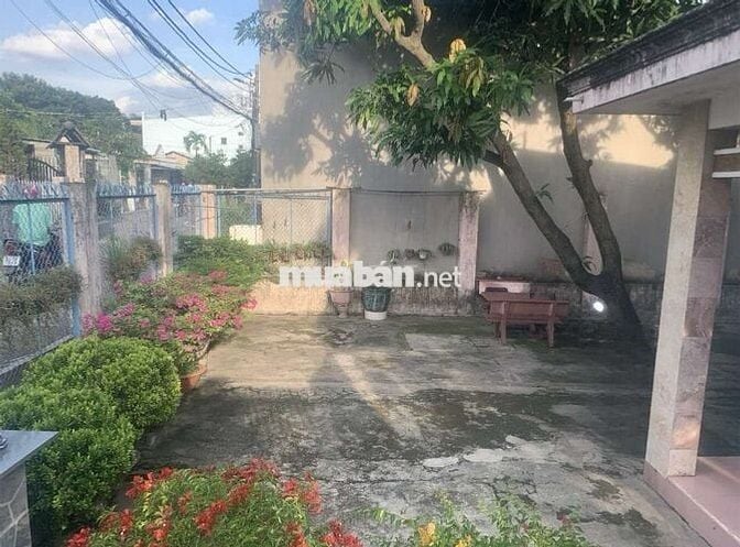 Bán nhà Linh Xuân 610m² full thổ cư, hxh thông kế ĐH Quốc Gia Thủ Đức