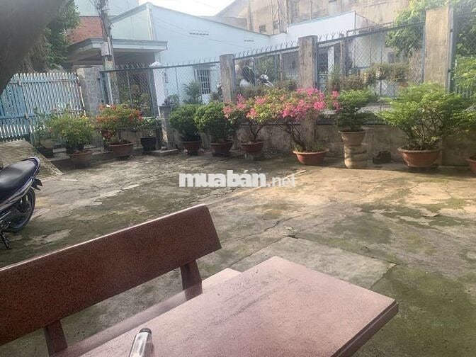 Bán nhà Linh Xuân 610m² full thổ cư, hxh thông kế ĐH Quốc Gia Thủ Đức