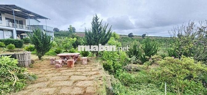 nhà biệt thự vườn 6.000m2 rất đẹp ven đà lạt
