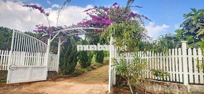 nhà biệt thự vườn 6.000m2 rất đẹp ven đà lạt