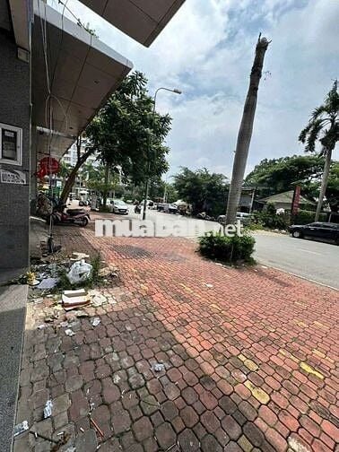 Cho Thuê Nhà 8x12m Mặt Tiền Kinh Doanh Đường Trần Trọng Cung