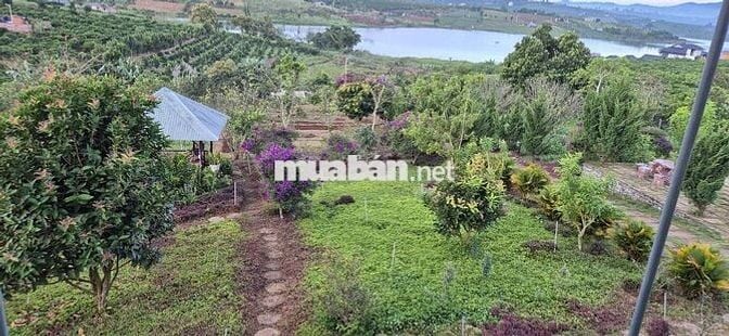 nhà biệt thự vườn 6.000m2 rất đẹp ven đà lạt
