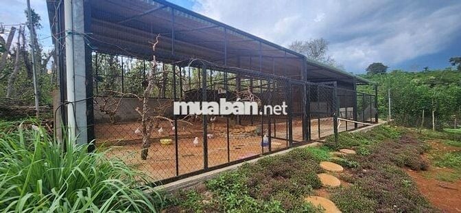 nhà biệt thự vườn 6.000m2 rất đẹp ven đà lạt