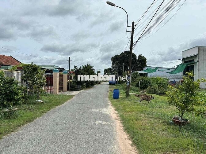 3.	Chính chủ bán đất 117m² Tân Thông Hội – pháp lý rõ ràng